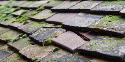 Maypole roof repair costs